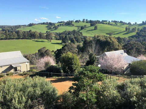 Balingup Highview Chalets - Accommodation Sunshine Coast 5