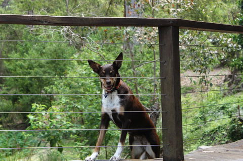 Ark Of Denmark - Accommodation Sunshine Coast 10