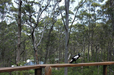 Ark Of Denmark - Accommodation Sunshine Coast 11