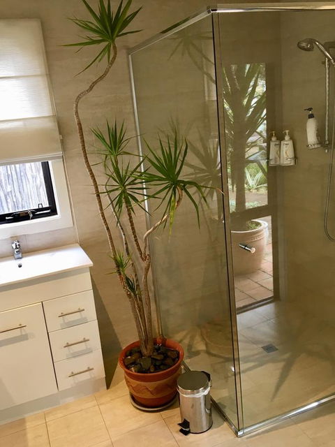 DESIGNER'S STUDIO - Accommodation Sunshine Coast 11