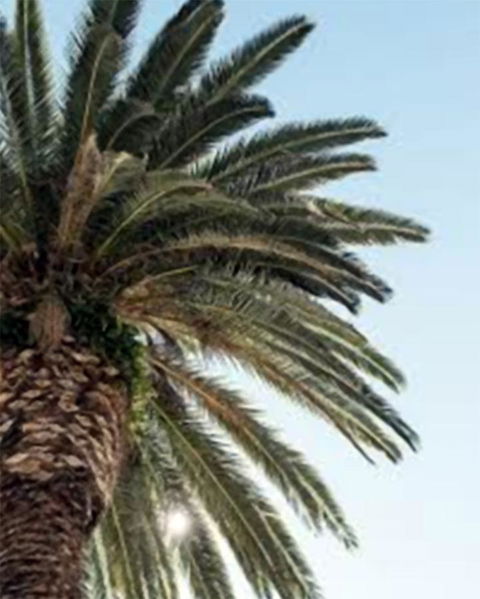 Best Western Plus Hotel Lord Forrest - Accommodation Sunshine Coast 8