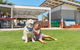 RAC Monkey Mia Dolphin Resort - thumb 35