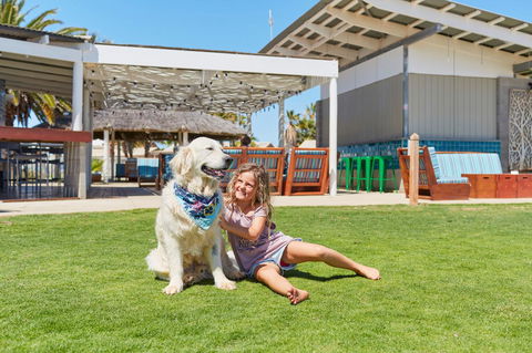 RAC Monkey Mia Dolphin Resort - Accommodation Sunshine Coast 35