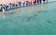 RAC Monkey Mia Dolphin Resort - thumb 4
