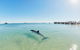 RAC Monkey Mia Dolphin Resort - thumb 1