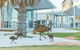 RAC Monkey Mia Dolphin Resort - thumb 15