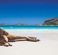 The Shiralee - Accommodation Sunshine Coast