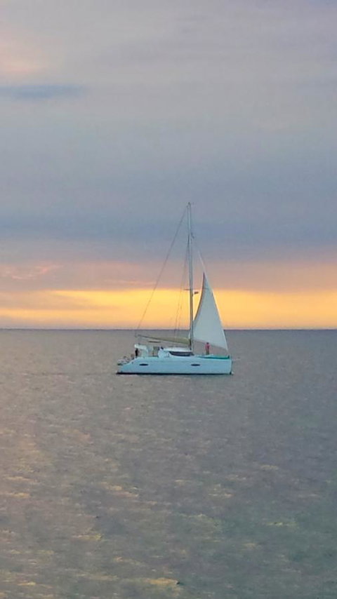 Freo's Choice - Accommodation Sunshine Coast 7
