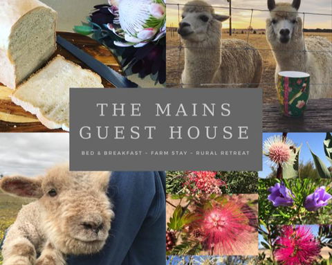 The Mains Guest House 2 Bedroom Farm Stay - Accommodation Sunshine Coast 0