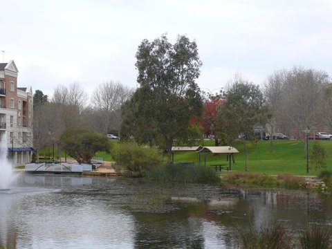 Dragonfly Apartment On Regal - Accommodation Sunshine Coast 43