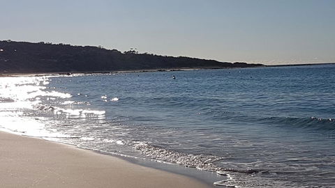 Eagle Bay Discovery - Accommodation Sunshine Coast 0