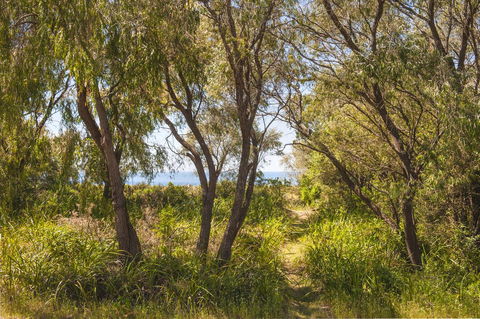 Seahaven - Accommodation Sunshine Coast 7