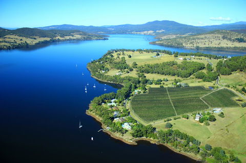Anchorage Waterfront Retreat - Accommodation Sunshine Coast 28