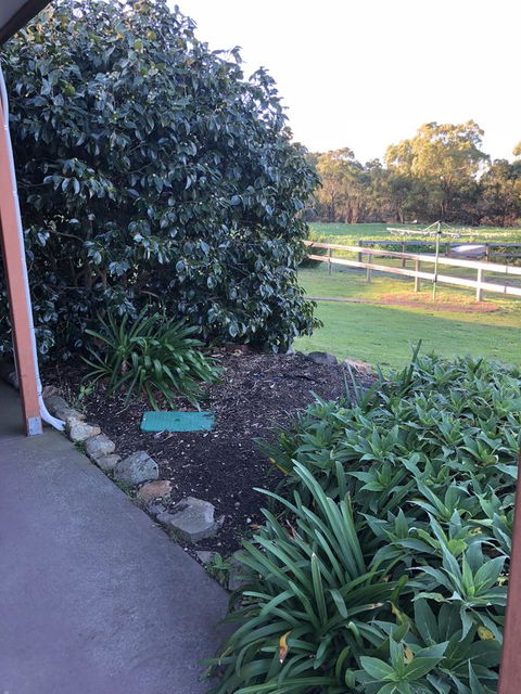 Acton Park Holiday Units - Accommodation Sunshine Coast 20