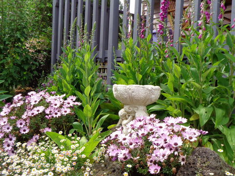 Post House Cottage - Accommodation Sunshine Coast 19