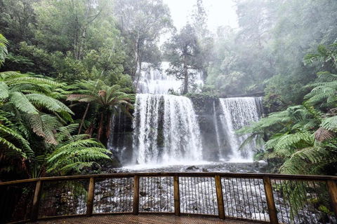 Post House Cottage - Accommodation Sunshine Coast 23
