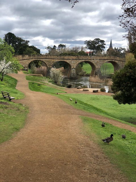 A Cottage In Richmond - Accommodation Sunshine Coast 20