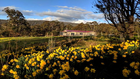 Mountain Blue Guest House - Accommodation Sunshine Coast 3
