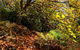 Mountain Blue Guest House - thumb 9
