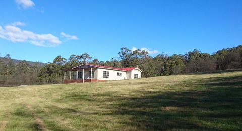 Mountain Blue Guest House - Accommodation Sunshine Coast 26