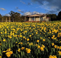 Mountain Blue Guest House - Accommodation Sunshine Coast