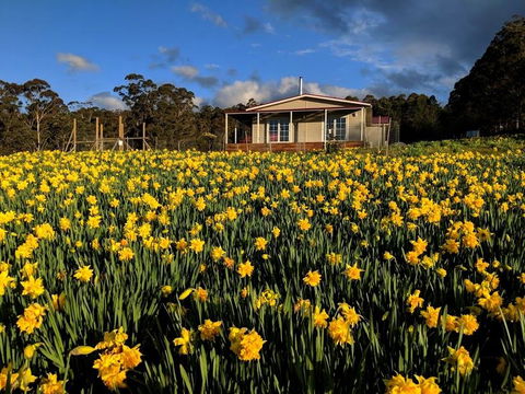 Mountain Blue Guest House - Accommodation Sunshine Coast 0
