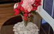 Mountain Blue Guest House - thumb 8