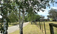 Book Nicholson Accommodation Vacations Accommodation Sunshine Coast Accommodation Sunshine Coast