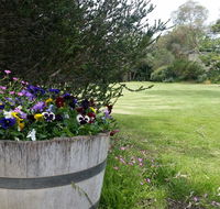 Padthaway Caravan Park - Accommodation Sunshine Coast