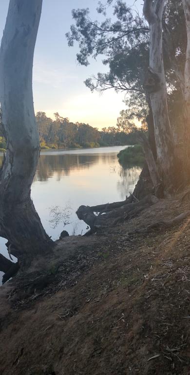 Perricoota Station - Accommodation Sunshine Coast 3