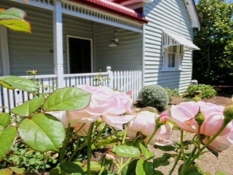 Poppy Cottage-delightful Pet Friendly Weatherboard - Accommodation Sunshine Coast 1