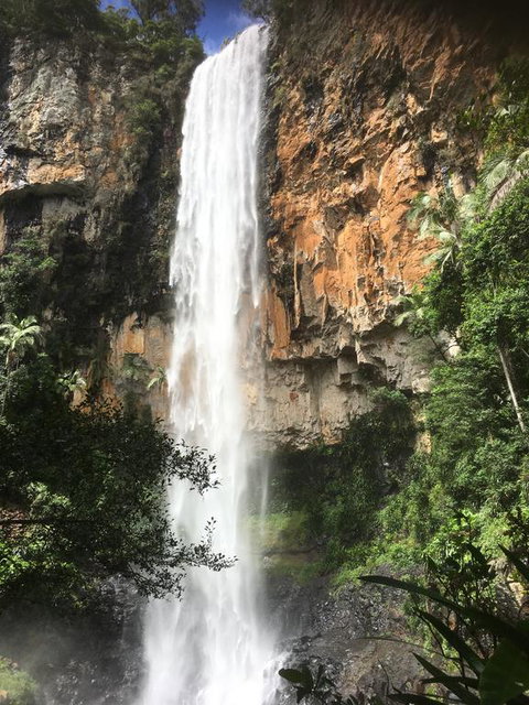 Purling Brook Falls Gwongorella - Accommodation Sunshine Coast 0