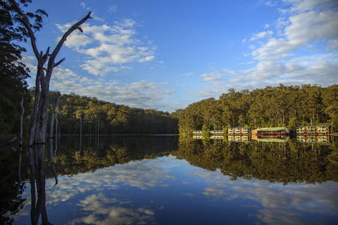 RAC Karri Valley Resort - Accommodation Sunshine Coast 0