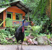 Rainforest Hideaway - Accommodation Sunshine Coast