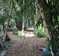 Rainforest Water Front River Shack Secluded. - Accommodation Sunshine Coast