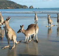 Seaforth Holiday Units - Accommodation Sunshine Coast