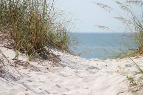 Seas The Day - Accommodation Sunshine Coast 0