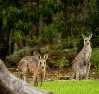 Secura Lifestyle Countryside Kalaru - Accommodation Sunshine Coast