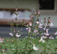 Serendipity on Allyn - Accommodation Sunshine Coast