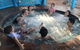 Southport Tourist Park - thumb 3