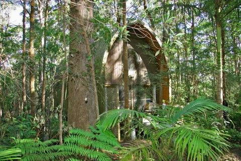 Springbrook Mountain Chalets - Accommodation Sunshine Coast 0