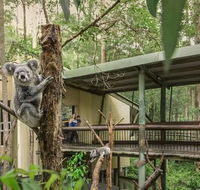 Springwood Meditation Centre - Accommodation Sunshine Coast