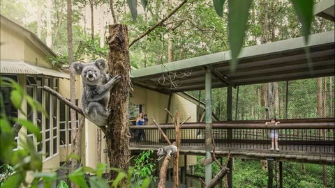 Springwood Meditation Centre - Accommodation Sunshine Coast 0