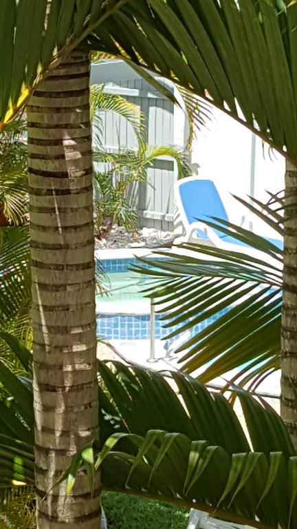 Studio Apartment Mooloolaba Beach Holiday Management - Accommodation Sunshine Coast 0