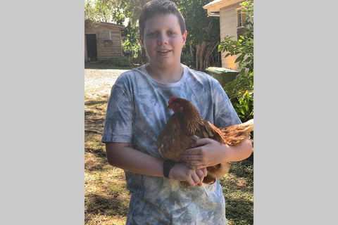 Stunning Queenslander - Accommodation Sunshine Coast 2