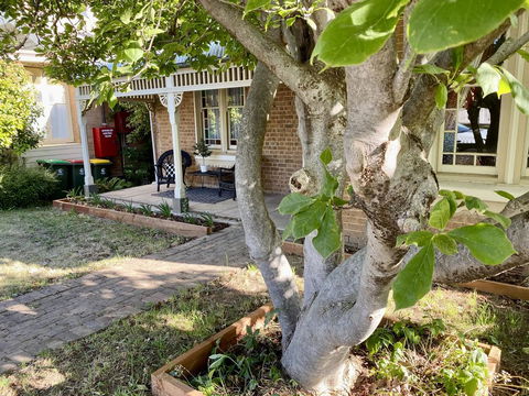 SUMMER HOUSE - CENTRAL LOCATION Near PARK - Accommodation Sunshine Coast 0