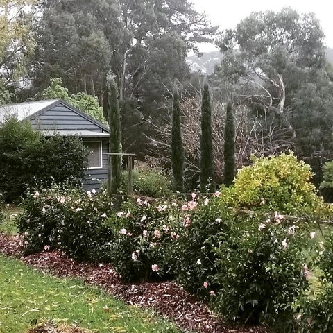 Summerhill Farm B&B - Accommodation Sunshine Coast 3