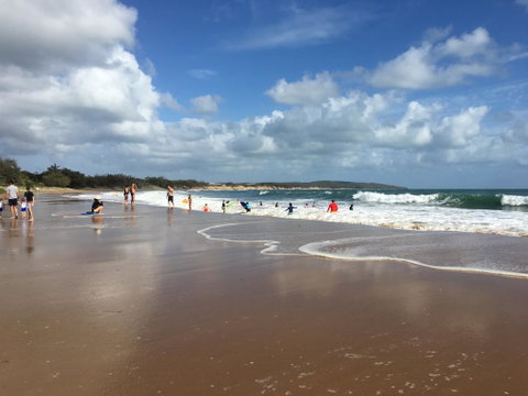 Sunbird Gardens - Accommodation Sunshine Coast 1