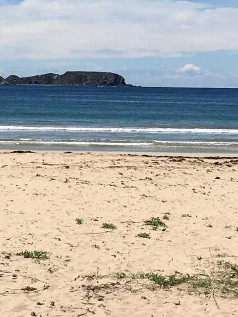 Surf Beach Holiday - Accommodation Sunshine Coast 0