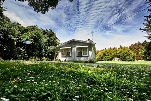 Tarkinegrove - Accommodation Sunshine Coast 0